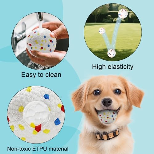 6 Pack Dog Balls, Specially Designed