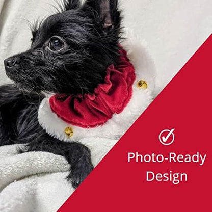 Huxley & Kent Ruff Pet Scrunchy | Santa (Medium) | Festive Christmas/Holiday Neckwear for Dogs/Cats | Fun Stretchable Costume Accessory | Soft Collar with Bells