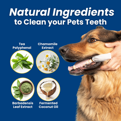 3-Pack Hygiene Bundle – Pet Dental, Ear, & Eye Finger Wipes