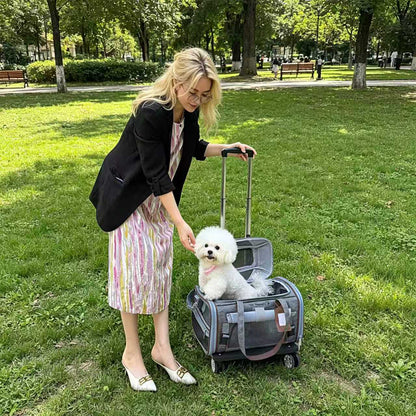 Mr. Peanut's Gold Series Mini Size Airline Compliant Expandable Pet Carrier