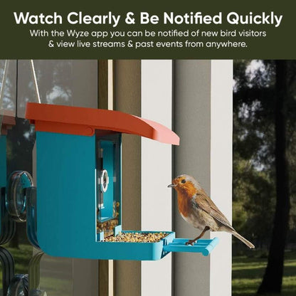 Wyze Bird Feeder Wireless Camera Bundle with Solar Panel