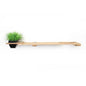 Cat Plant Stand for Wall
