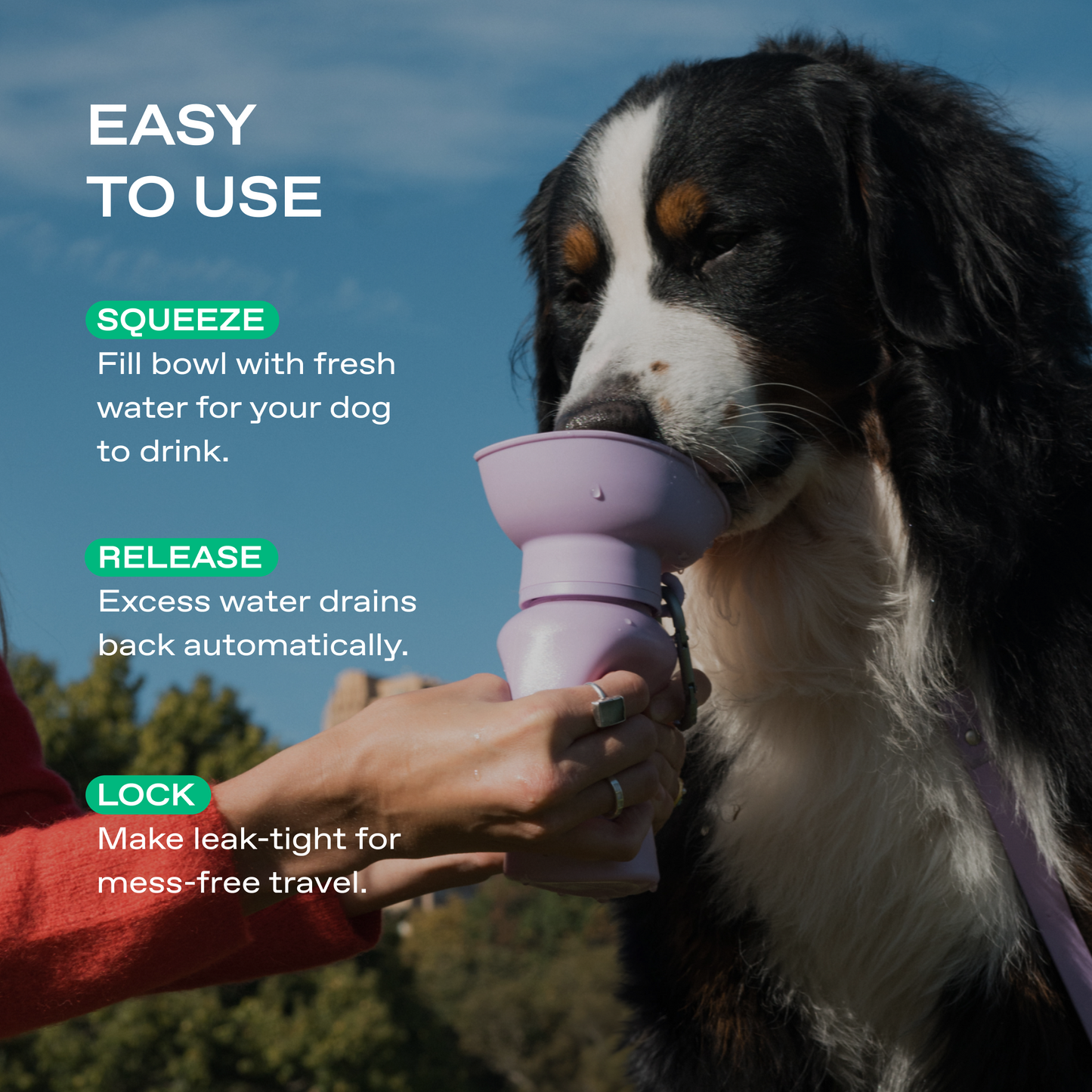 20oz Flip Dog Travel Water Bottle