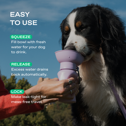 20oz Flip Dog Travel Water Bottle