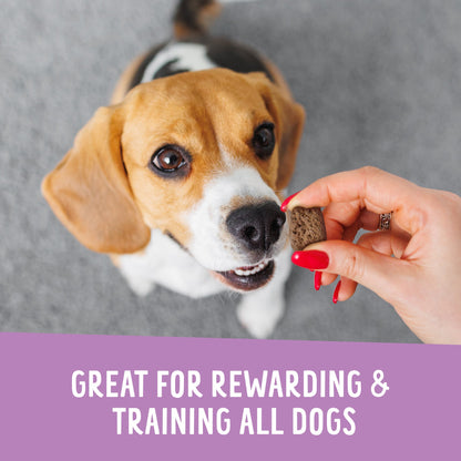 Crunchy Munchies Granola Bites-Blueberry Ruffin