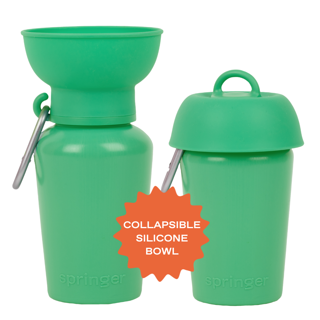 20oz Flip Dog Travel Water Bottle