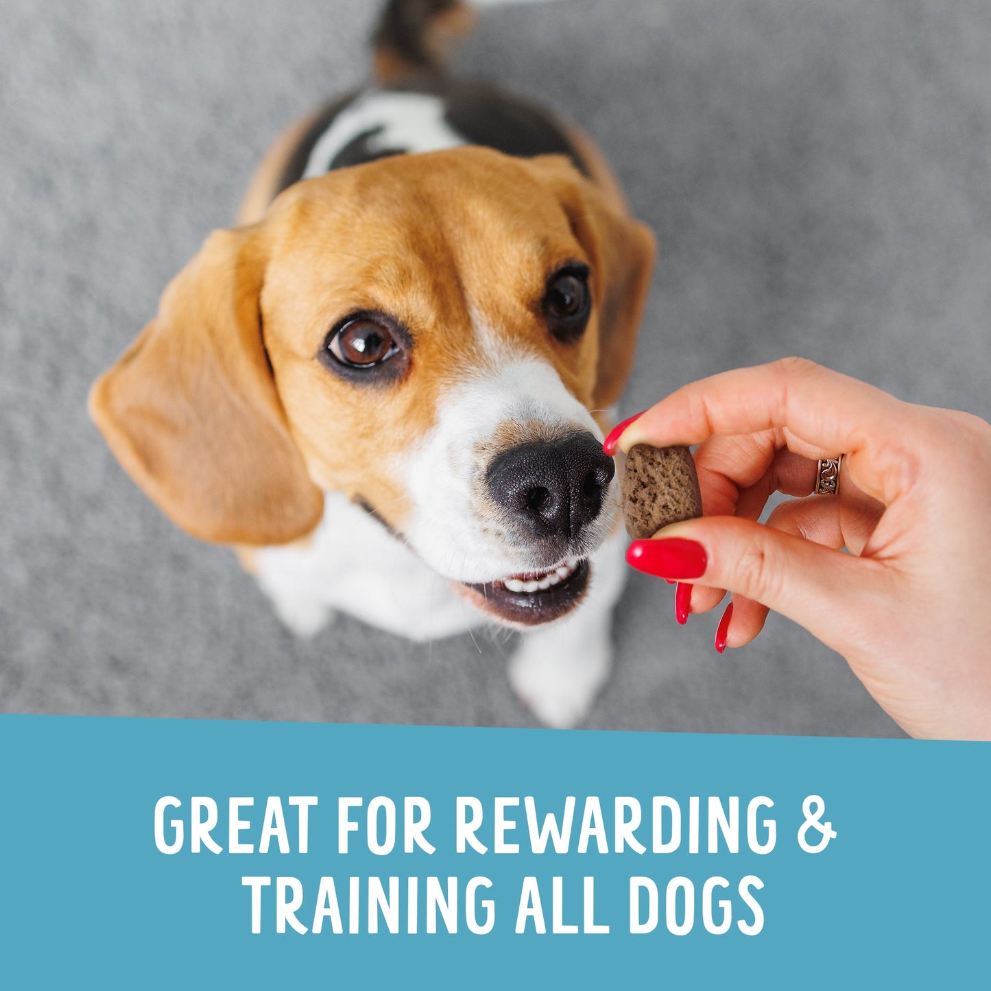 Crunchy Munchies Variety Pack