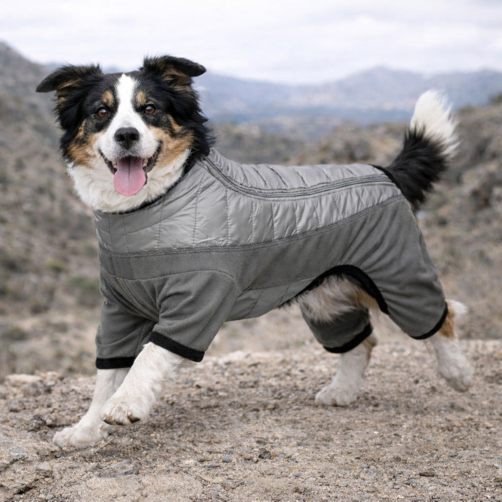 Pet Life ® 'Aura-Vent' Lightweight 4-Season Stretch and Quick-Dry Full Body Dog Jacket