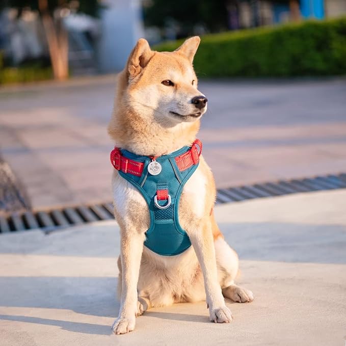 PHOEPET No Pull Dog Harness, Unique Colors Reflective Adjustable Dog Vest, with Soft Training Handle Metal Clips for Small Medium Large Dogs (Teal Base & Red Straps,L)