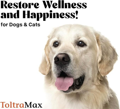 Vetr's Toltramax Toltrazuril Powder for Horses, Dogs, Cats, 100g (2.5%, Beef)