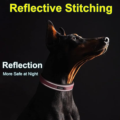 Fida Heavy Duty Dog Collar, Ultra Comfortable Soft Neoprene Padded, Adjustable Reflective Nylon Pet Collar with Durable Metal Belt Buckle for Medium Breeds (M, Pink)