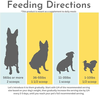 Probiotics, Prebiotics, & Digestive Enzymes for Dogs| Limited Ingredients| Digestive Support |Allergy Relief |Immune Support| Reduces Inflammation| Diarrhea & Gas Relief (150g), White