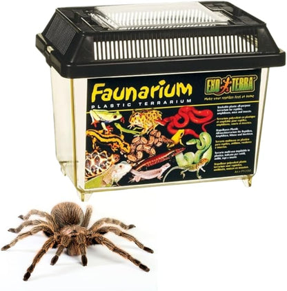 Exo Terra Faunarium, Plastic Reptile Terrarium, Large, PT2265