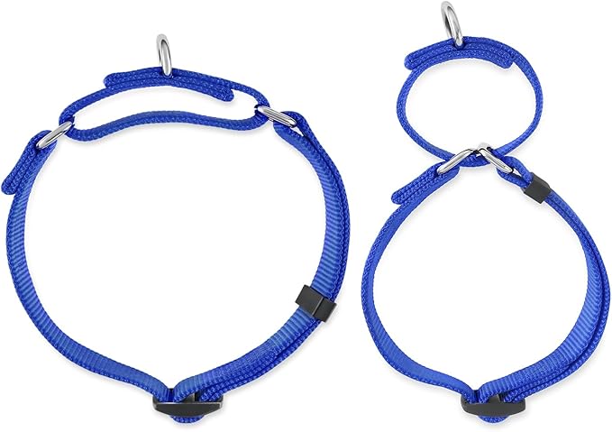 Hyhug Adjustable Solid Study Nylon Anti Escape Durable Martingale Not Slip Training Puppy Dog Collar. (Small, Bright Blue)