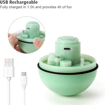 WWVVPET Interactive Cat Toy With LED Light, 360 Degree Self Auto Rotating Smart Ball, USB Rechargeable Spinning Toy, Stimulate Hunting Instinct for Kittens, Funny Chaser Roller Pet Toy