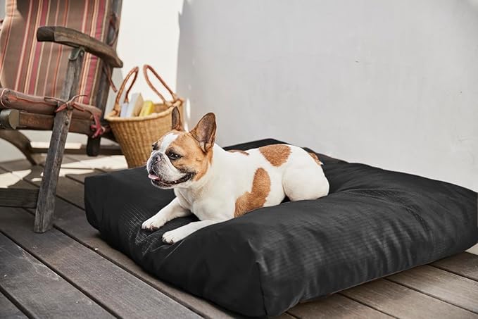 K9 Ballistics Tough Rectangle Pillow Medium Dog Bed - Removable Cover, Washable, Durable & Water Resistant Dog Bed Made for Medium Dogs 33"x27", Obsidian Black
