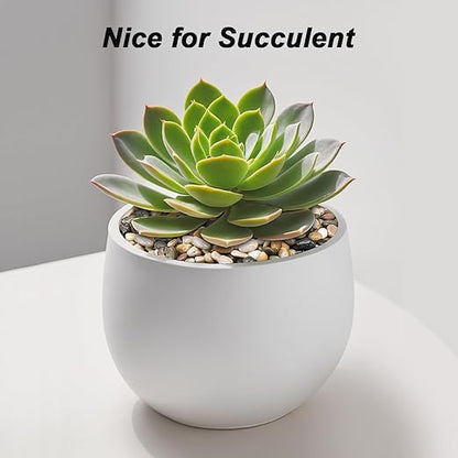 River Rocks, Decorative Ornamental Pebbles,Garden Landscaping Stones,Gravel Filler for Home Decoration Flower Bed Fish Tank Plants Vases Succulents