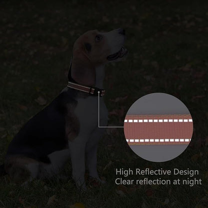 Reflective Dog Collar Padded with Soft Neoprene Breathable Quick Release Basic Dog Collars for Puppy Small Dogs Coral