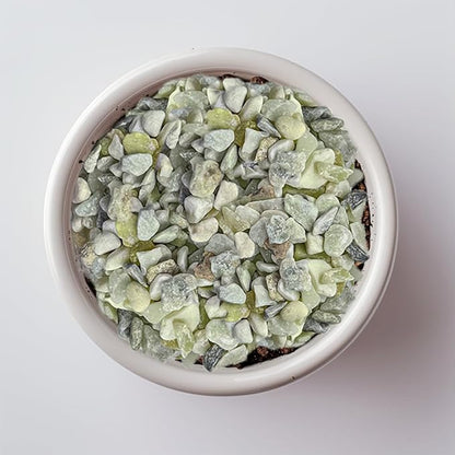 Small Natural Rocks Decorative Pebbles Tiny Gravel for Aquarium Gravels,Fish Turtle Tank,Soil Cover, Indoor Outdoor Garden Succulent Plants Top Dressing,Zen Garden,Vase Fillers,2 LB,Light Green Mix