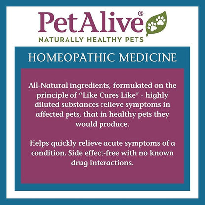 PetAlive Oral-Assist - Natural Homeopathic Formula Supports Oral and Dental Health in Dogs and Cats - Supports Healthy Teeth and Gums in Pets - 59 mL