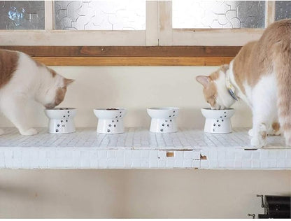 Necoichi Raised Stress Free Cat Food Bowl, Elevated, Backflow Prevention, Dishwasher and Microwave Safe, No.1 Seller in Japan! (Cat, Regular)
