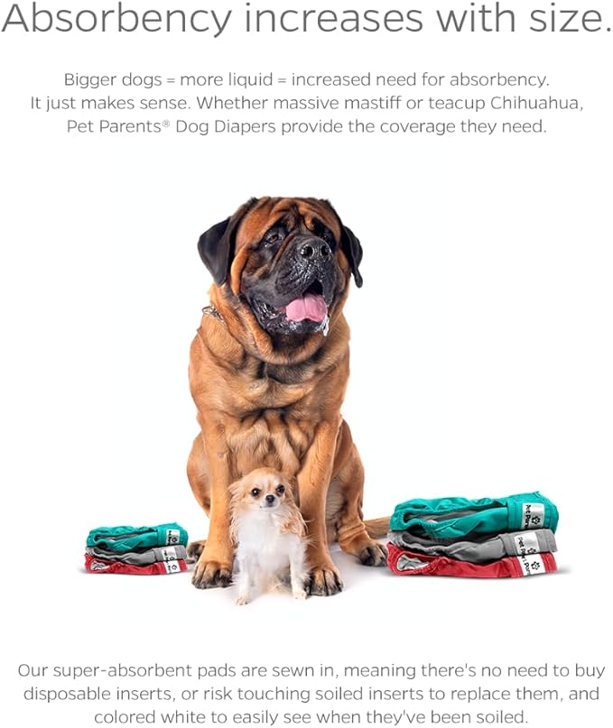 Pet Parents® Washable Dog Diapers (3pack) + Extendrs® of Durable Doggie Diapers, Premium Dog Diapers Female (X-Large, Southern Belle)