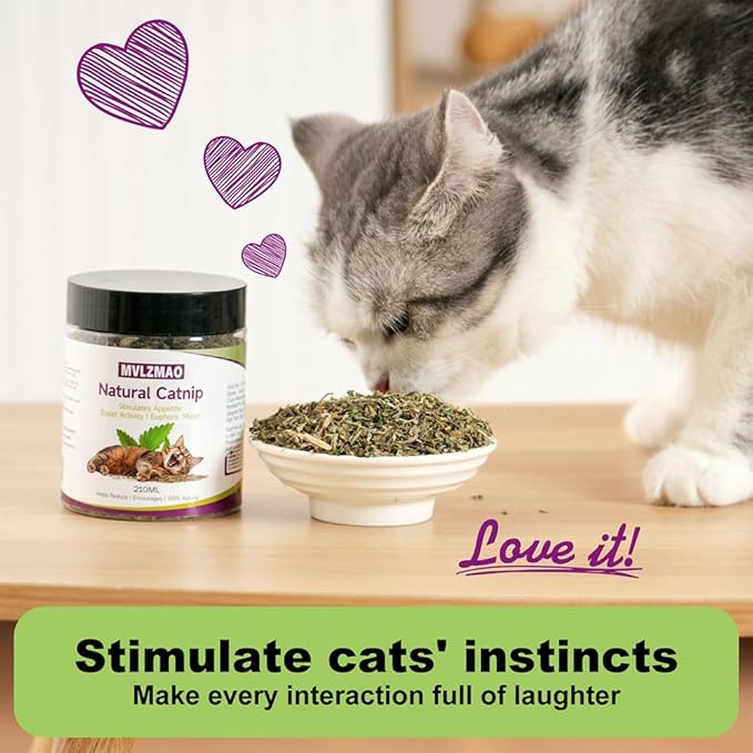 Organic Catnip Cattle Grass 210ml – Natural Mint Flavor Interactive Cat Toy