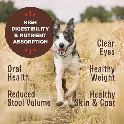 Primal Freeze Dried Raw Dog Food Nuggets, Beef, Complete & Balanced Meal, Also Use as Topper or Treat, Premium, Healthy, Grain Free, High Protein Raw Dog Food, 14 oz