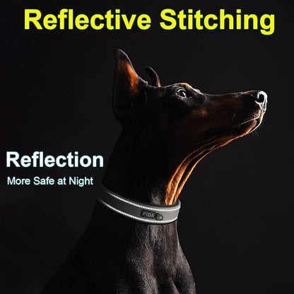 Fida Heavy Duty Dog Collar, Ultra Comfortable Soft Neoprene Padded, Adjustable Reflective Nylon Pet Collar with Durable Metal Belt Buckle for Medium Breeds (M, Grey)