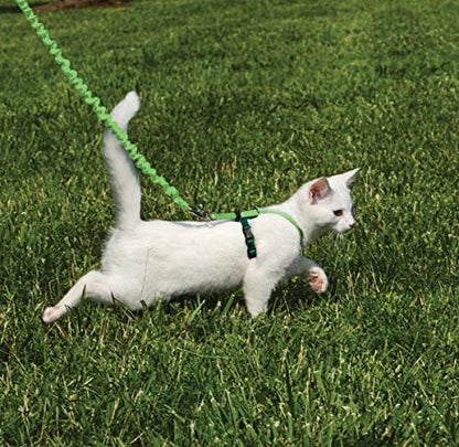 PetSafe Come with Me Kitty Harness and Bungee Leash