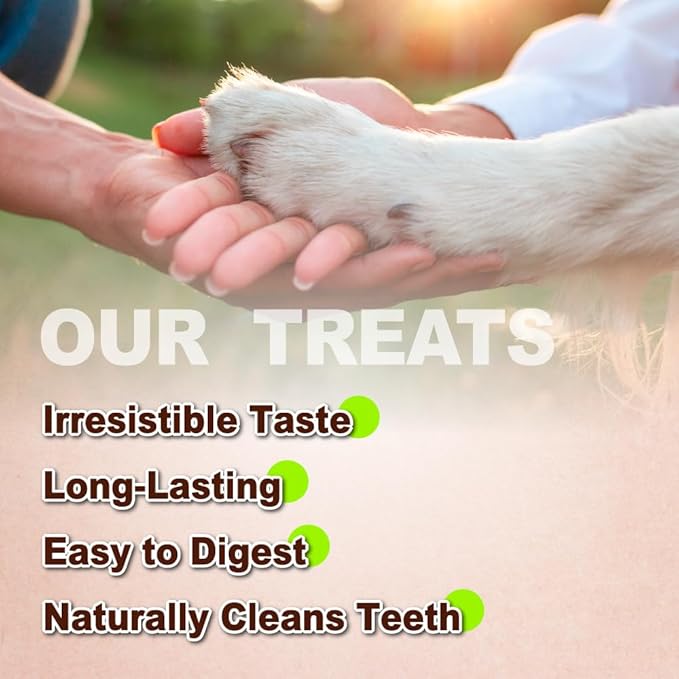 Afreschi Natural Turkey Tendon Strip 10 Units/Box, All Natural Human Grade Puppy Chew, USA-Sourced Turkey Tendon, Hypoallergenic, Easy to Digest, Rawhide Alternative