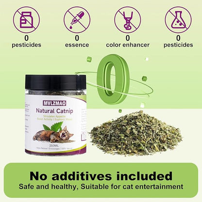 Organic Catnip Cattle Grass 210ml – Natural Mint Flavor Interactive Cat Toy