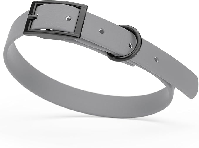 Dogline Biothane Waterproof Dog Collar Strong Coated Nylon Webbing with Black Hardware Odor- Proof for Easy Care Easy to Clean High Performance Fits Small Medium or Large Dogs, Battleship Gray