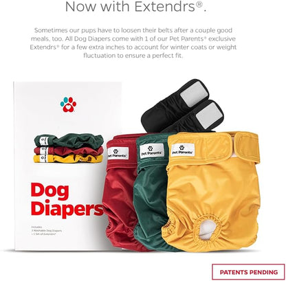 Pet Parents® Washable Dog Diapers (3pack) + Extendrs® of Durable Doggie Diapers, Premium Dog Diapers Female (Small, Samba)