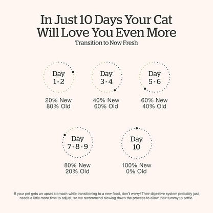 Now Fresh Grain-Free Senior Dry Cat Food with Turkey, Salmon & Duck, Premium Kibble Made with Real Meat & Fish, Chicken-Free Recipe, Supports Healthy Weight Management, 8 lb Bag