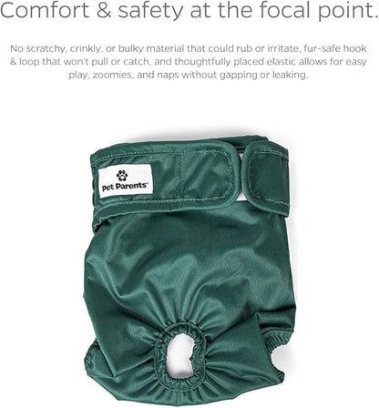 Pet Parents® Washable Dog Diapers (3pack) + Extendrs® of Durable Doggie Diapers, Premium Dog Diapers Female (Small, Samba)