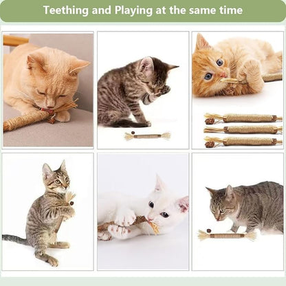 6 PCS Silvervine Sticks for Cats - Natural Cat Chew Toys for Teeth Cleaning, Kitten Teething & Aggressive Chewers
