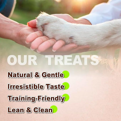 Afreschi Natural Turkey Treats Star Bites –16 oz, Hexagonal Shape, USA-Sourced Trukey, All-Natural, Hypoallergenic, Low-Fat, Healthy & Easily Digestible, Puppy & Training Snack & Small Dogs