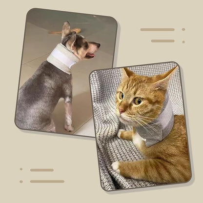 MANON ROSA Cat Neck Brace Elizabethan Collar for Pet After Surgery Recovery Adjustable Breathable Neck Cervical Cone for Small Medium Dogs Puppies Kittens with Spinal IVDD Issues (M 5.9-12.6",Grey)