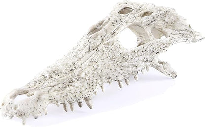 Animal Skull Fish Aquarium Hideout Decorations Cave Dinosaur Reptile Ornament Halloween Décor for Terrarium Large Betta Decor Bones