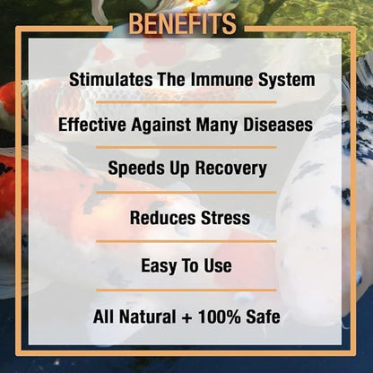 MICROBE-LIFT Sabbactisun Disease Treatment for Ponds and Outdoor Water Gardens, Disease Expellant for Pond Fish, 1 Gallon