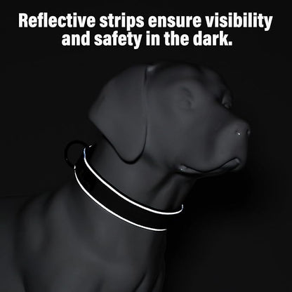 Plutus Pet Tactical Dog Collar, Reflective, Adjustable Heavy Duty Dog Collar, Soft Padded and Comfortable, for Small Medium and Large Dogs (Hot Pink, L)