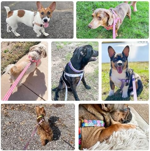BEAUTYZOO No Pull Dog Harness and Leash Set