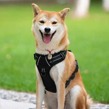 PoyPet No Pull Dog Harness, Reflective Comfortable Vest Harness with Front & Back 2 Leash Attachments and Easy Control Handle Adjustable Soft Padded Pet Vest for Small to Large Dogs (Black,XL)