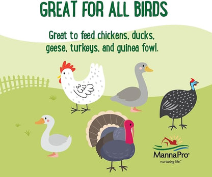 Manna Pro Mealworms Poultry Treat - High Protein, 100% Natural, 10oz