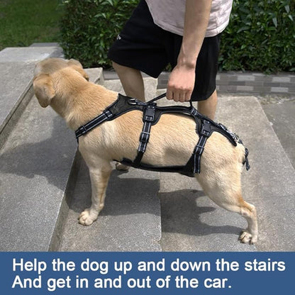 Coodeo Dog Lift Harness, Support & Recovery Sling, Pet Rehabilitation Lifts Vest Adjustable Breathable Straps for Old, Disabled, Joint Injuries, Arthritis, Paralysis Dogs Walk (Black,XL)