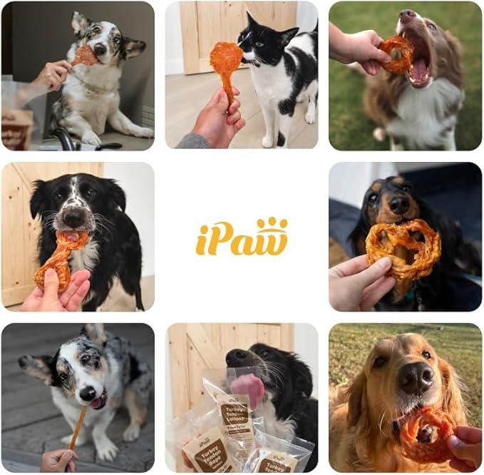 iPaw Turkey Tendons for Dogs, 100% Turkey and US Sourced Raw Material, Hypoallergenic, All Natural Human Grade Puppy Chew, Rawhide Alternative Dog Treats, 1 Unit/Pack Strip (Large)