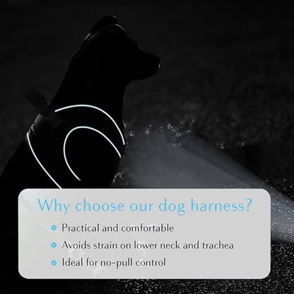Comfort Fit Dog Harness Soft Padded No Pull Harness with Adjustable Buckles for Small Medium Large Dogs Step in Pet Vest with Easy Control Handle for Walking Jogging Running Training Dogs & Puppies