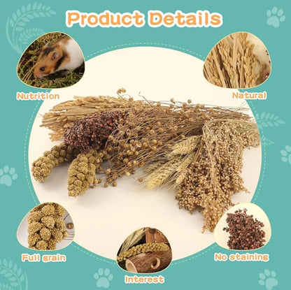 Hamster Spray Set - Natural Snack Grains & Chew Toys for Cage Decoration Accessories, Soft Bedding for Dwarf Syrian Hamsters, Gerbils, Mice & Small Pets