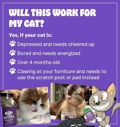 Cat Crack Organic Catnip, 100% Natural Cat Nips Organic Blend That Energizes and Excites Cats, Used for Cat Play, Training, & New Catnip Toys (1 Cup)